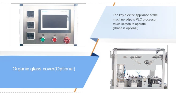 Pharmaceutical Dessert Granule Snacks Flat-Plate Alu-Alu Automatic Alu-PVC Tablet Capsule Blister Packing Machine (DPB-250)